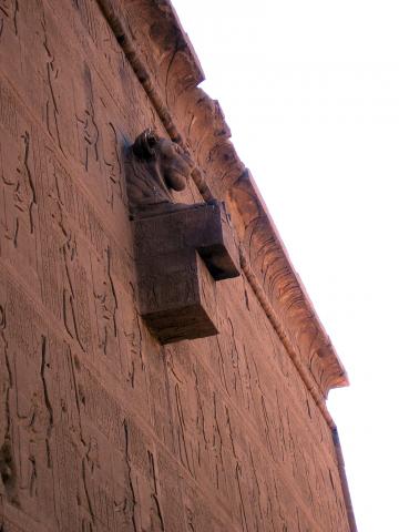 image Canalón con forma de león en el templo de Dendera, Egipto