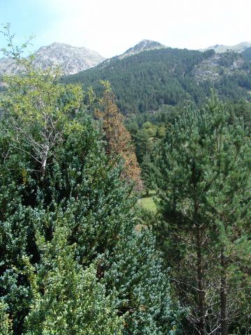 image Paisaje en el embalse de La Sarra, Sallent de Gállego, Huesca