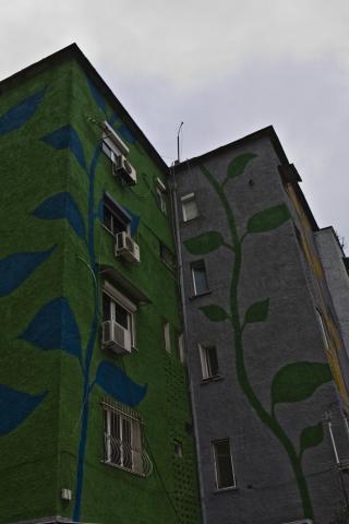 image Edificio pintado con motivos vegeteales, Tirana, Albania