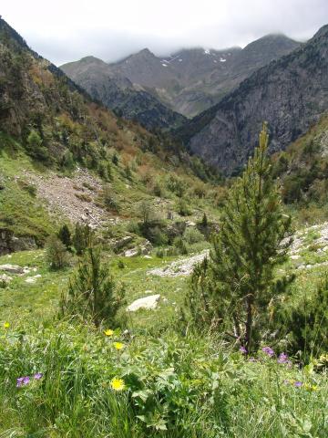 image Paraje de los Corralones, Sallent de Gállego, Huesca