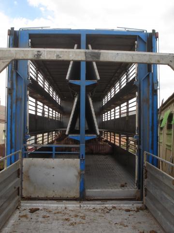 image Carga de animales en el camión