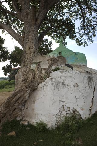 image Tumba de Abu Said Ali en Harar, Etiopía