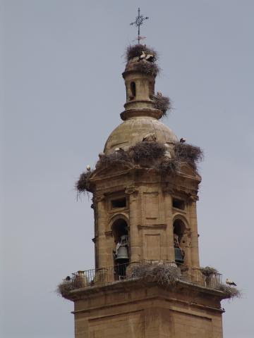 image Cigüeñas en el campanario de la iglesia de Agoncillo, La Rioja