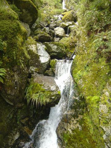 image Arroyo de la ruta Routeburn, Nueva Zelanda