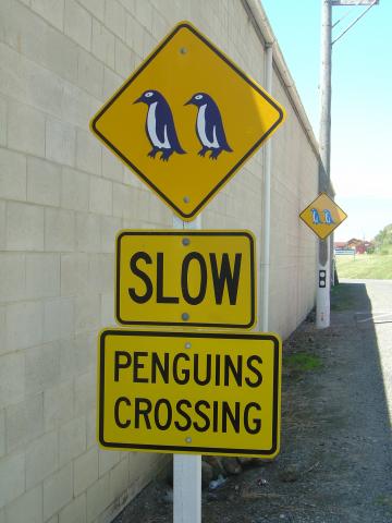 image Señal de tráfico indicando precaución por pingüinos, Nueva Zelanda