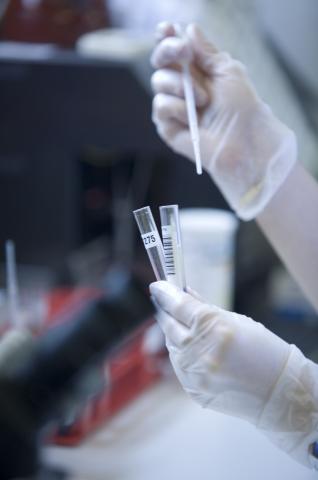 image Detalle de las manos de la trabajadora de un laboratorio en un hospital