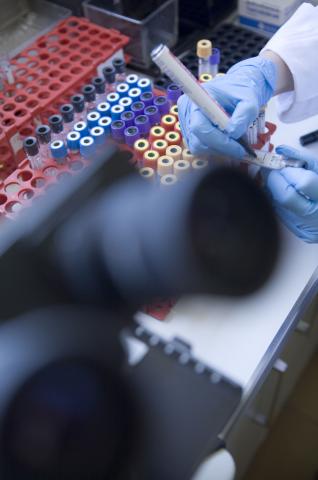 image Detalle de las manos de una persona manipulando muestras en el laboratorio de un hospital