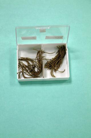 image Hilo retractor ancho