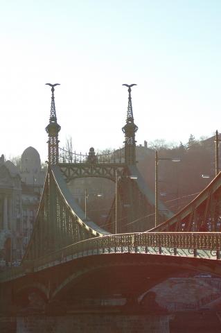 image Vista del Puente de la Libertad al atardecer, Budapest, Hungría