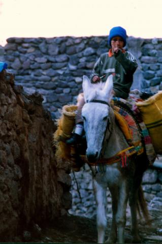 image Campesino en un burro en el Alto Atlas, Marruecos