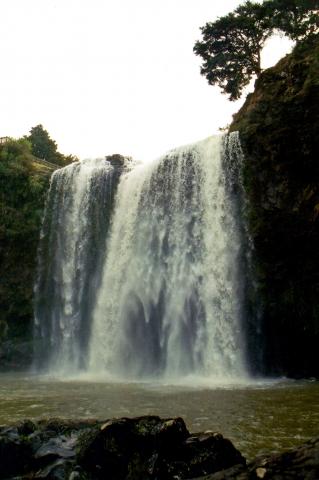 image Catarata cercana a Hikurangi, vista lateral, Nueva Zelanda