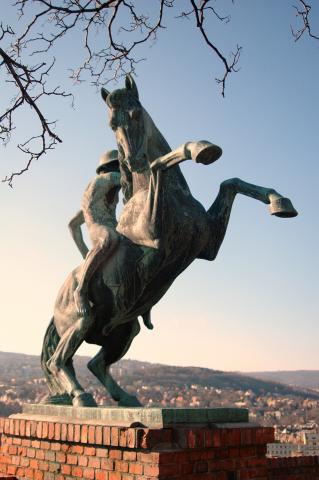 image Estatua ecuestre del Castillo de Buda, Budapest, Hungría