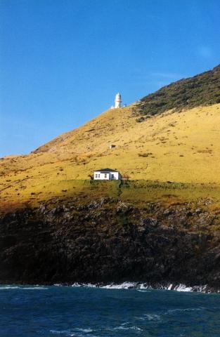 image Faro en Bahía de Islas, Nueva Zelanda