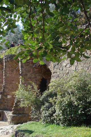 image Parque Güell, Barcelona