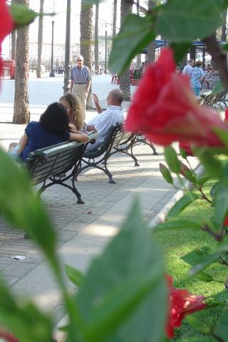 image Paseo marítimo, Badalona, Barcelona