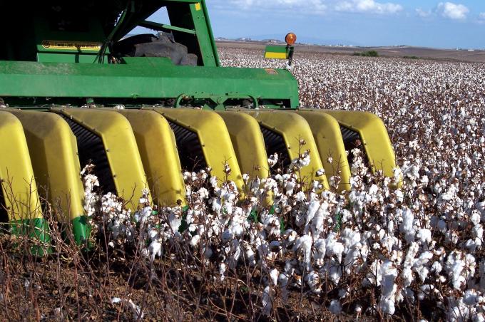 image Cosechadora de algodón