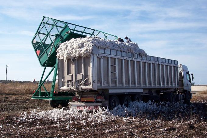 image Personas volcando algodón a un camión