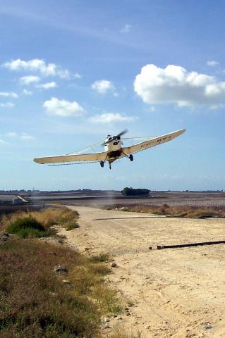 image Avioneta despegando en una plantación de algodón