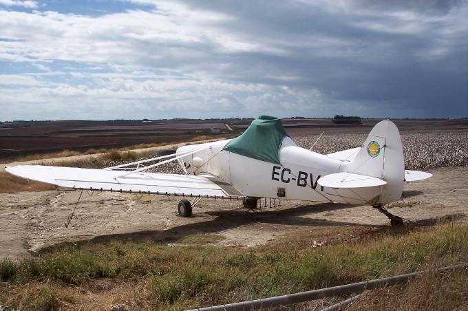 image Avioneta fumigadora en una plantación de algodón