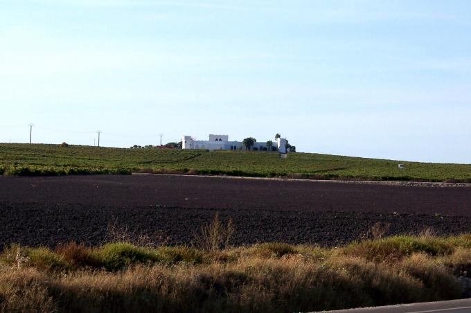 image Cortijo con viñas