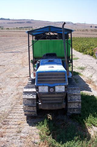image Remolque cargado con espuertas para la recolección de la uva