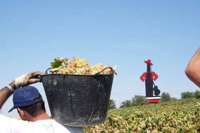 image Hombre transportando una espuerta de uvas