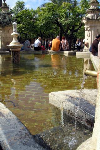 image Fuente del Olivo en el Patio de los Naranjos, Mezquita de Córdoba, Córdoba