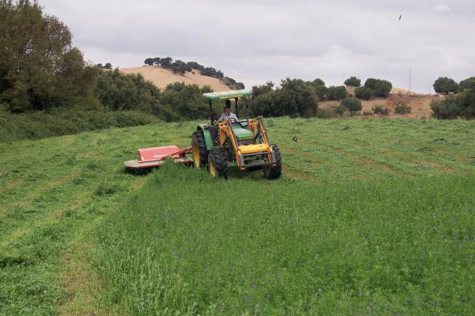 image Siega en un campo de alfalfa