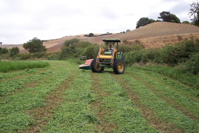image Siega en un campo de alfalfa