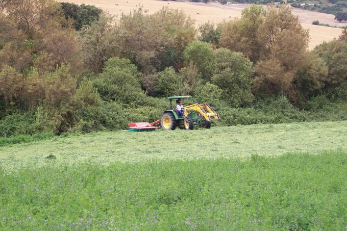 image Siega en un campo de alfalfa