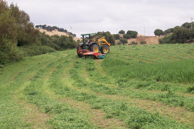 image Siega en un campo de alfalfa