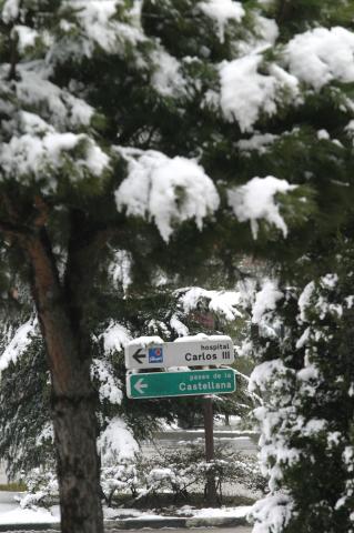 image Calles nevadas, Madrid