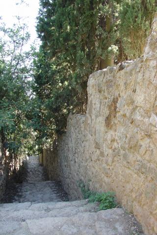 image Zona de jardines, Parque Güell, Barcelona