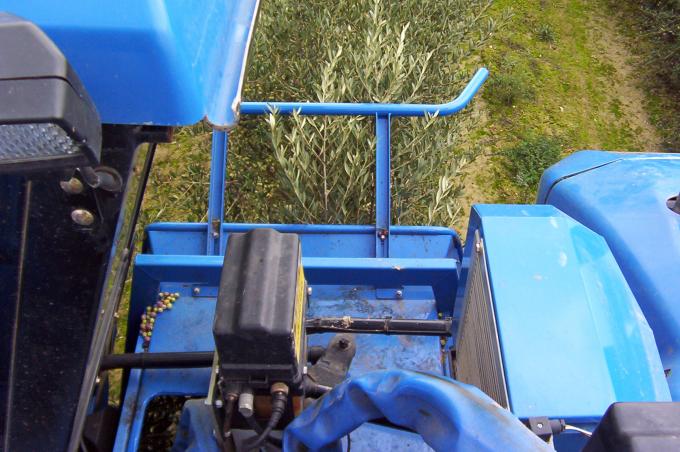 image Cosechadora recolectando aceitunas