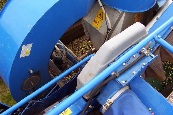image Tolva de una cosechadora de aceitunas