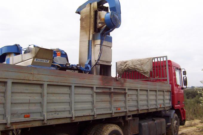 image Volcado de aceitunas en un camión