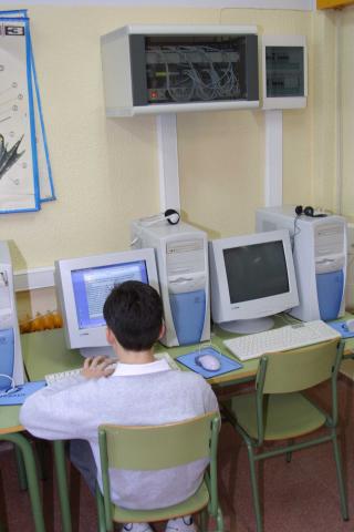 image Realizando actividad con el ordenador