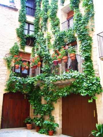 image Casas en Calaceite, Teruel