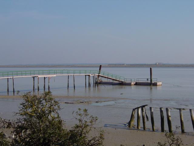 image Pantalán del Muelle del Poblado de La Plancha, Partque Nacional de Doñana, Huelva