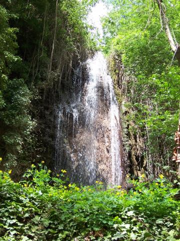image Cascada, Monasterio de Piedra