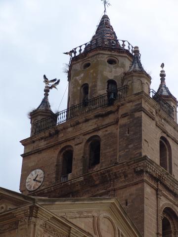 image Torre, Catedral de Calahorra, La Rioja