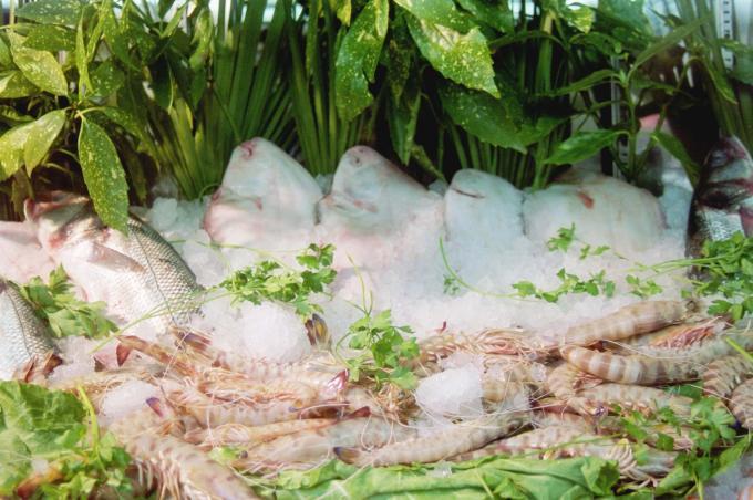 image Pescado y marisco fresco