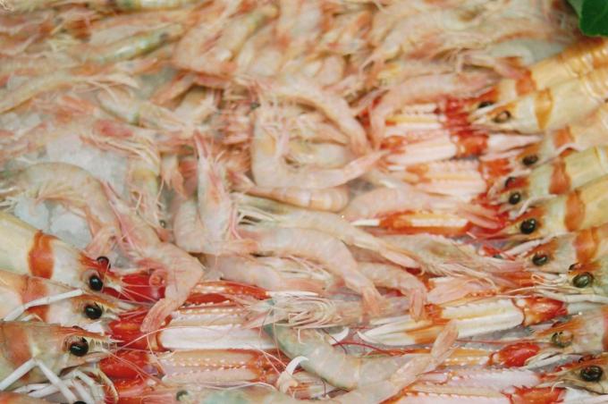 image Marisco fresco