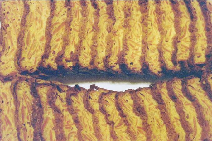 image Pastel de zanahoria