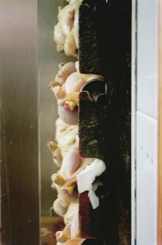 image Parrilla de pollos