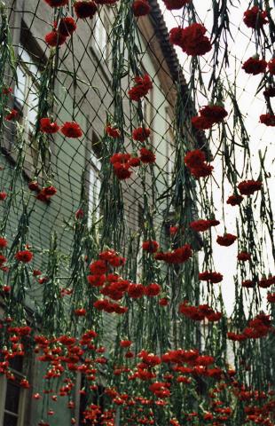 image Fiesta Revolución de los Claveles, Oporto, Portugal