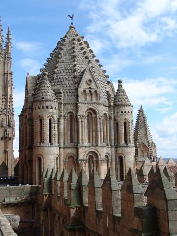image Torre del Gallo, Catedral Vieja de Salamanca