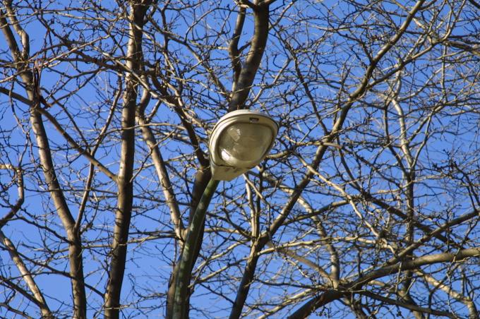 image Farola en La Almudena, Madrid