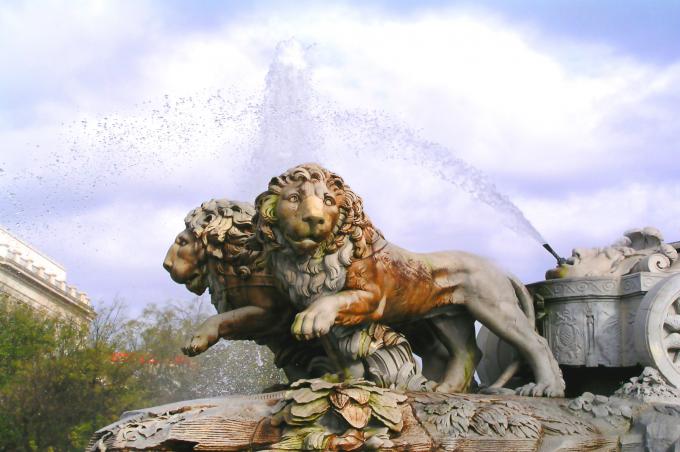 image Leones en Cibeles, Madrid