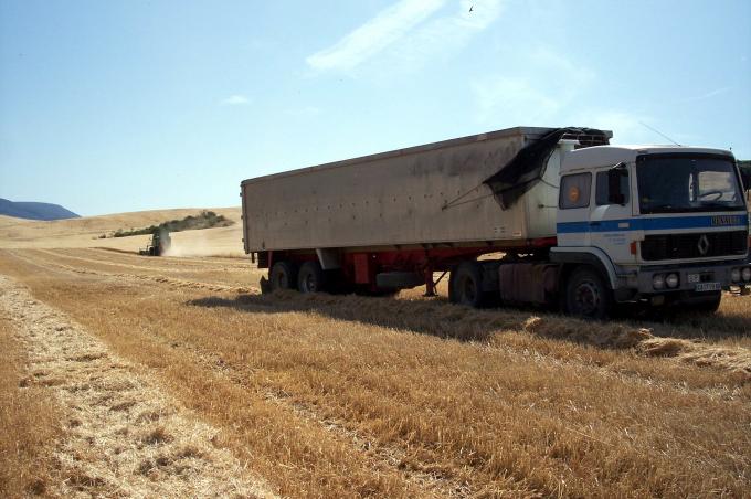 image Camión y cosechadora en una plantación de trigo